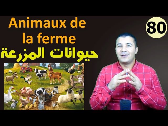 Les animaux et leurs habitats