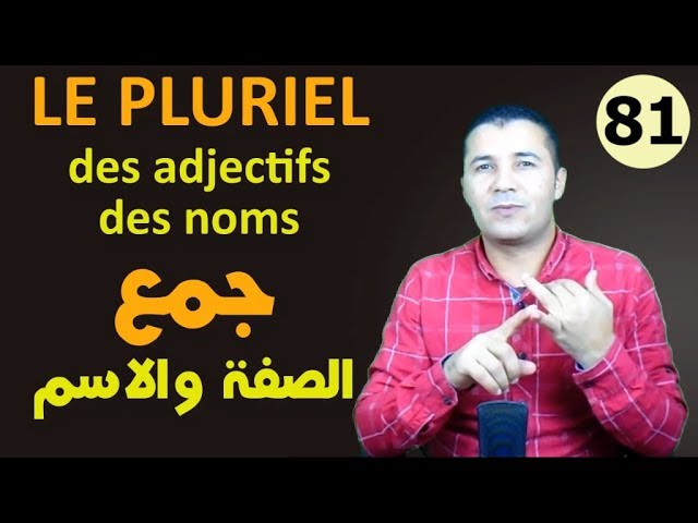 Pluriel des Adjectifs et des Noms