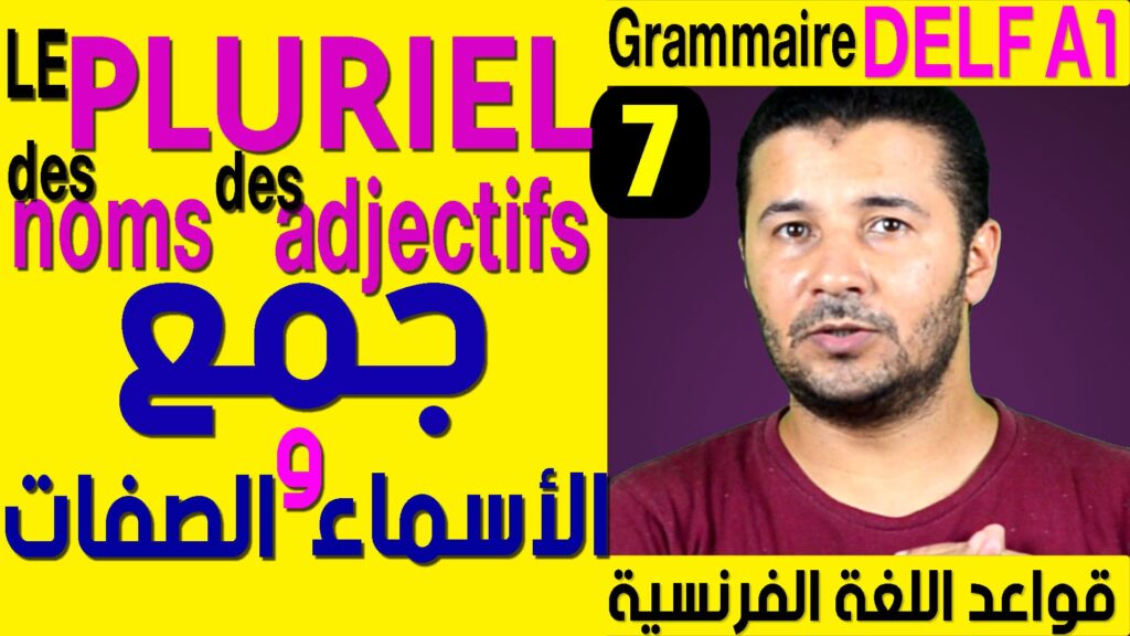 جمع الأسماء والصفات - قواعد اللغة الفرنسية Grammaire DELF A1 - Le pluriel des noms et des adjectifs